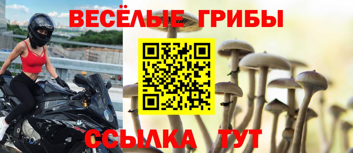 Галлюциногенные грибы мухоморы  Вход с VPN  Псилоцибиновые грибы Magic Shrooms  Шебекино 
